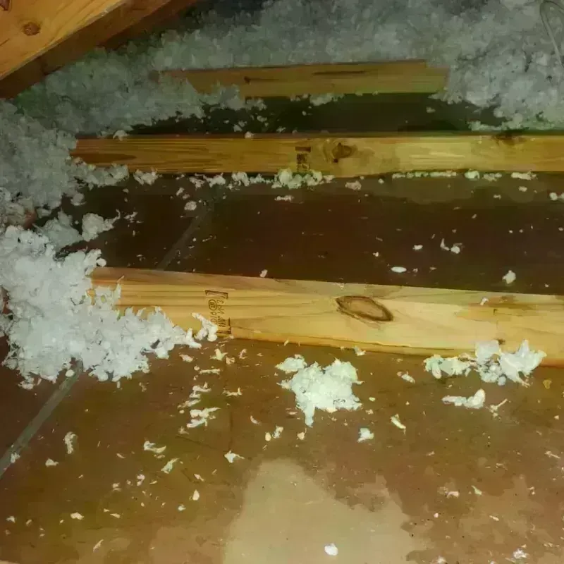 Attic Water Damage in Hephzibah, GA